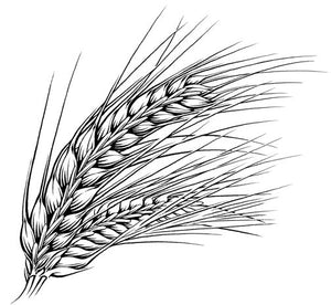 Spent Grain