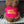 Load image into Gallery viewer, Capy Plushie