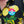 Load image into Gallery viewer, Capy Campaign Pin