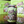 Load image into Gallery viewer, Pickle