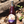 Load image into Gallery viewer, Quetzalcoatlus (4-pk of 187mL)