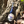 Load image into Gallery viewer, Terrible Lizard (4-pk of 187mL)