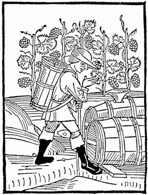 Terroir in Beer, Part 1