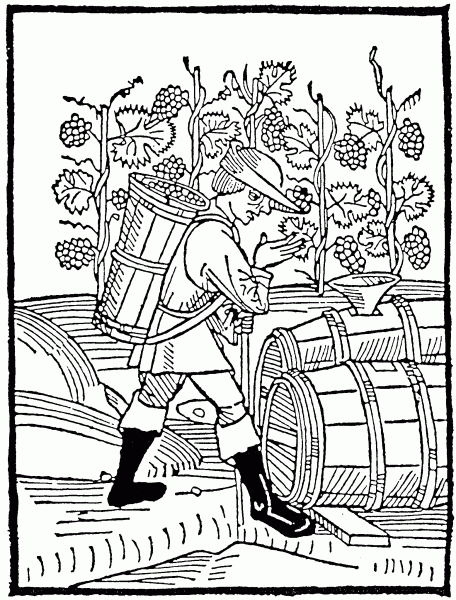 Terroir in Beer, Part 1