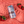 Astronaut Food: Strawberry